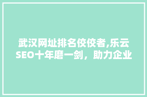 武汉网址排名佼佼者,乐云SEO十年磨一剑，助力企业腾飞