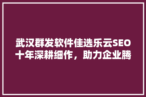 武汉群发软件佳选乐云SEO十年深耕细作，助力企业腾飞