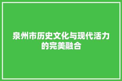 泉州市历史文化与现代活力的完美融合