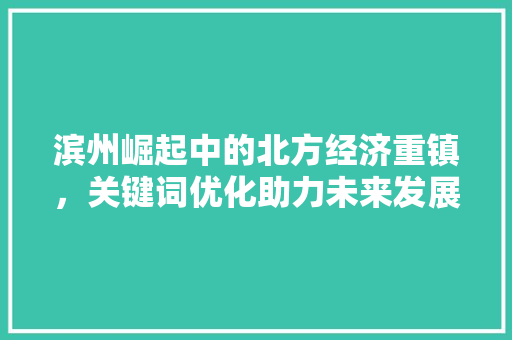 滨州崛起中的北方经济重镇，关键词优化助力未来发展  第1张