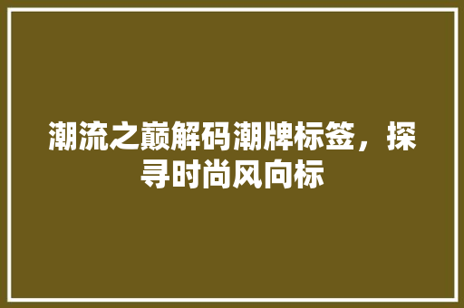 潮流之巅解码潮牌标签，探寻时尚风向标