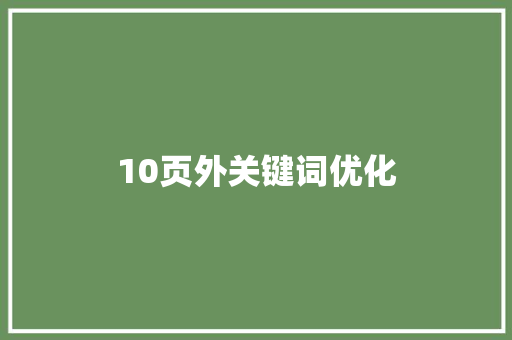 10页外关键词优化