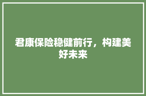 君康保险稳健前行，构建美好未来
