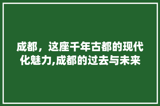 成都，这座千年古都的现代化魅力,成都的过去与未来_成都关键词优化比较好