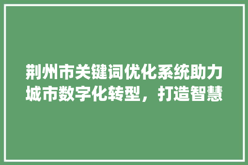 荆州市关键词优化系统助力城市数字化转型，打造智慧荆州_荆州市关键词优化系统