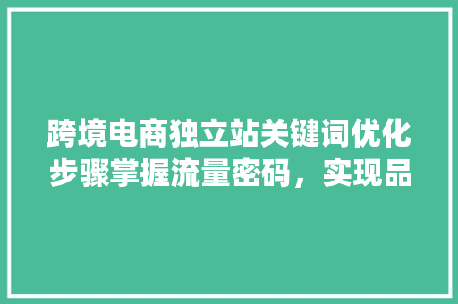 跨境电商独立站关键词优化步骤掌握流量密码，实现品牌崛起_跨境独立站的关键词优化