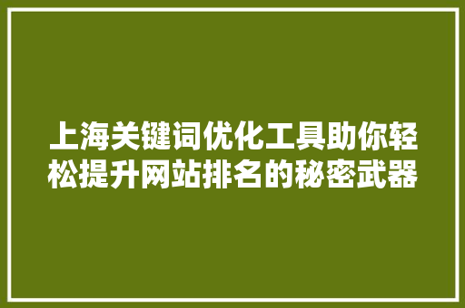 上海关键词优化工具助你轻松提升网站排名的秘密武器