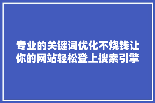 专业的关键词优化不烧钱让你的网站轻松登上搜索引擎首页