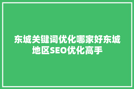 东城关键词优化哪家好东城地区SEO优化高手
