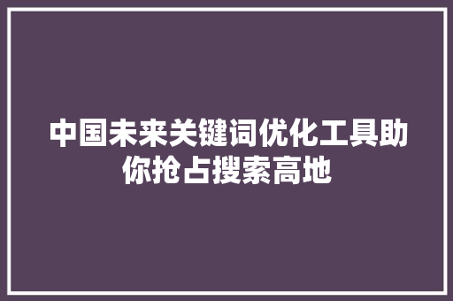 中国未来关键词优化工具助你抢占搜索高地