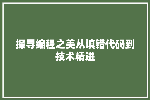 探寻编程之美从填错代码到技术精进