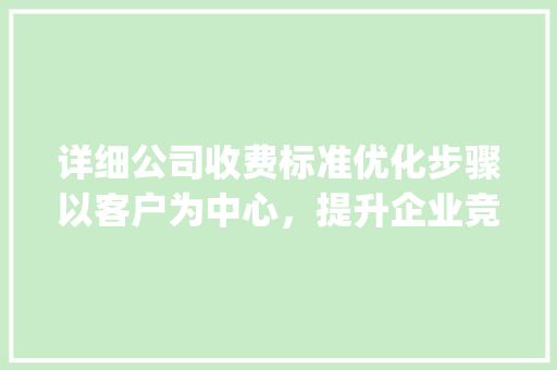 详细公司收费标准优化步骤以客户为中心，提升企业竞争力_关键词优化公司收费情
