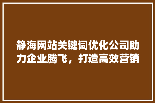 静海网站关键词优化公司助力企业腾飞，打造高效营销步骤_静海网站关键词优化公司