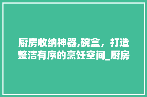 厨房收纳神器,碗盒，打造整洁有序的烹饪空间_厨房收纳碗盒关键词优化