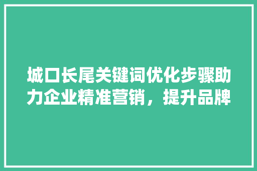 城口长尾关键词优化步骤助力企业精准营销，提升品牌影响力_城口长尾关键词快速优化