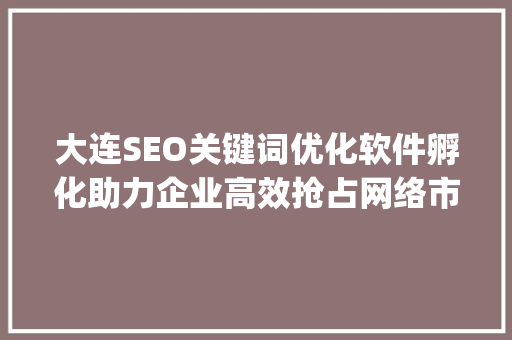 大连SEO关键词优化软件孵化助力企业高效抢占网络市场_大连seo关键词优化软件孵化