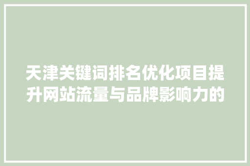 天津关键词排名优化项目提升网站流量与品牌影响力的方法_天津关键词排名优化项目