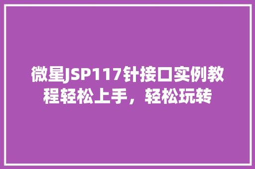微星JSP117针接口实例教程轻松上手，轻松玩转