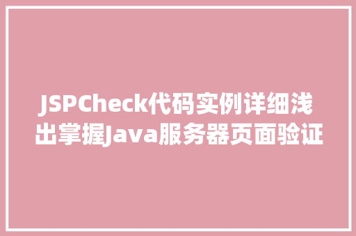 JSPCheck代码实例详细浅出掌握Java服务器页面验证方法
