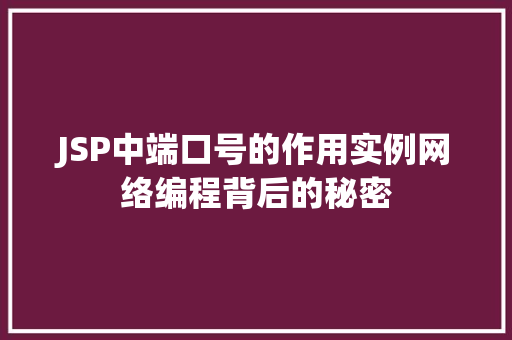 JSP中端口号的作用实例网络编程背后的秘密