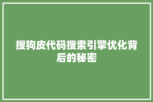搜狗皮代码搜索引擎优化背后的秘密