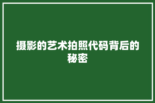 摄影的艺术拍照代码背后的秘密