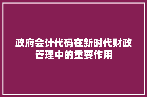 政府会计代码在新时代财政管理中的重要作用
