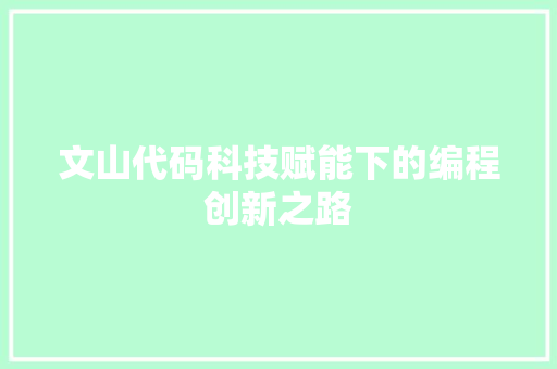 文山代码科技赋能下的编程创新之路