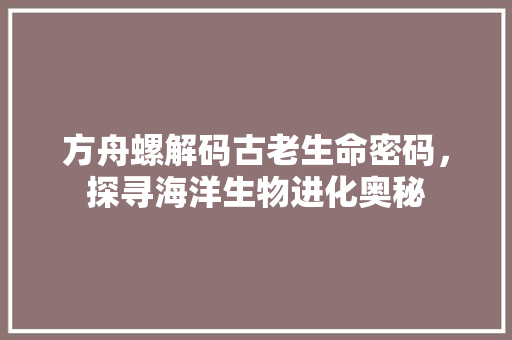 方舟螺解码古老生命密码，探寻海洋生物进化奥秘