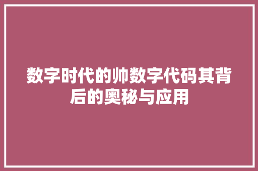 数字时代的帅数字代码其背后的奥秘与应用  第1张