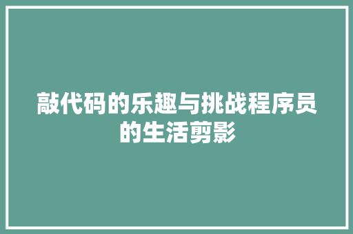 敲代码的乐趣与挑战程序员的生活剪影  第1张