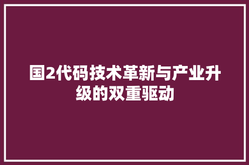 国2代码技术革新与产业升级的双重驱动