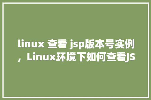 linux 查看 jsp版本号实例,Linux环境下如何查看JSP版本号实例介绍 第1张 linux 查看 jsp版本号实例,Linux环境下如何查看JSP版本号实例介绍 第1张