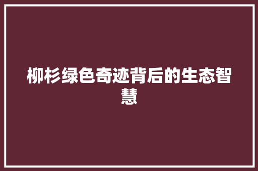 柳杉绿色奇迹背后的生态智慧