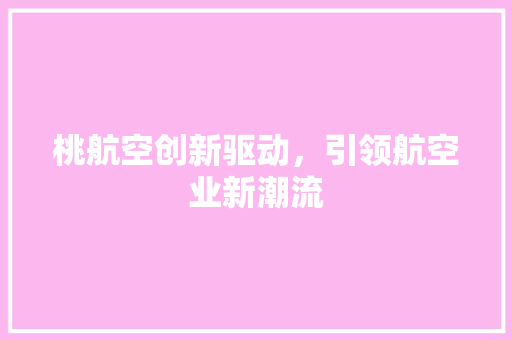 桃航空创新驱动，引领航空业新潮流