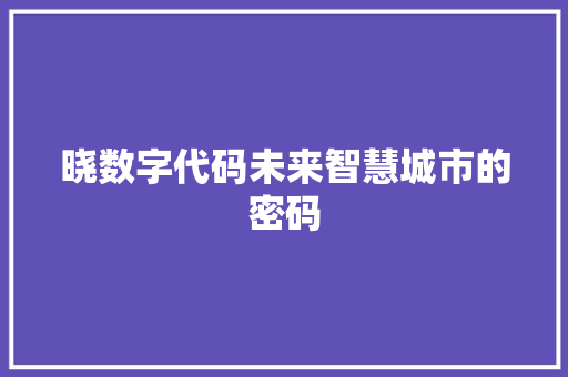 晓数字代码未来智慧城市的密码
