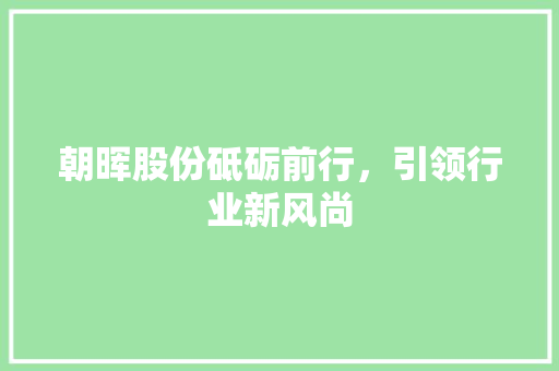 朝晖股份砥砺前行，引领行业新风尚