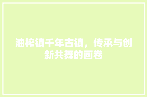 油榨镇千年古镇，传承与创新共舞的画卷