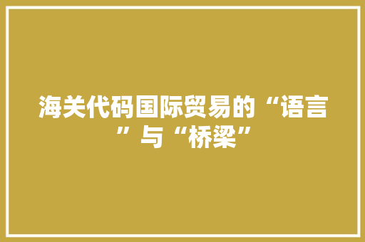 海关代码国际贸易的“语言”与“桥梁”