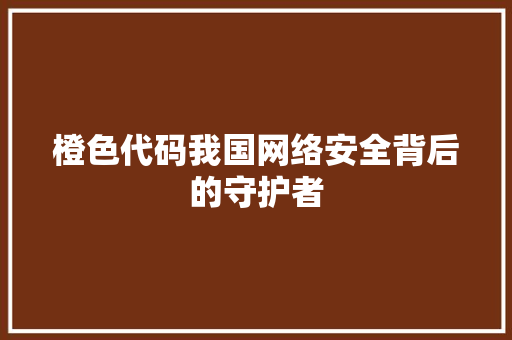 橙色代码我国网络安全背后的守护者