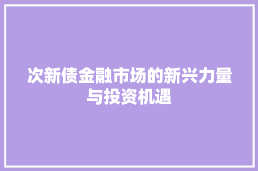 次新债金融市场的新兴力量与投资机遇