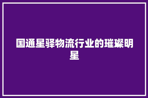 国通星驿物流行业的璀璨明星