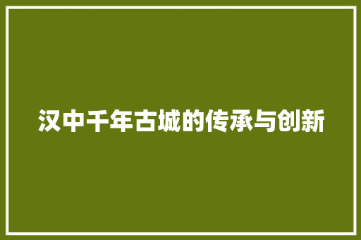 汉中千年古城的传承与创新