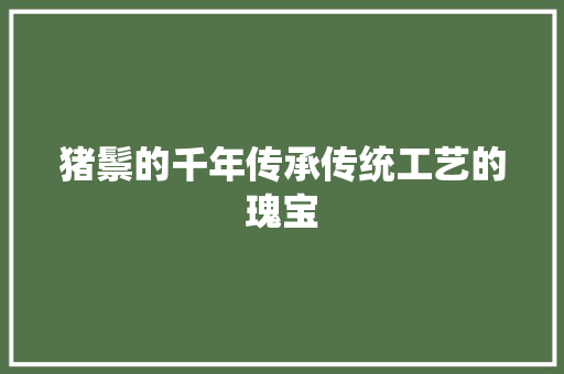 猪鬃的千年传承传统工艺的瑰宝