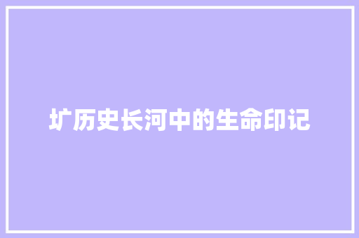 圹历史长河中的生命印记