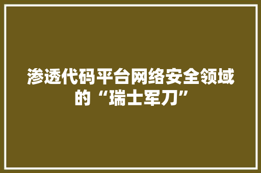 渗透代码平台网络安全领域的“瑞士军刀”