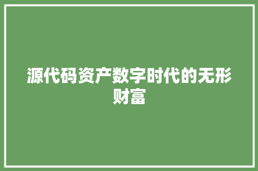 源代码资产数字时代的无形财富
