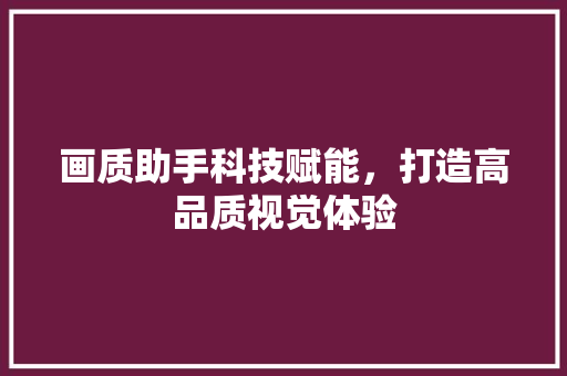 画质助手科技赋能，打造高品质视觉体验