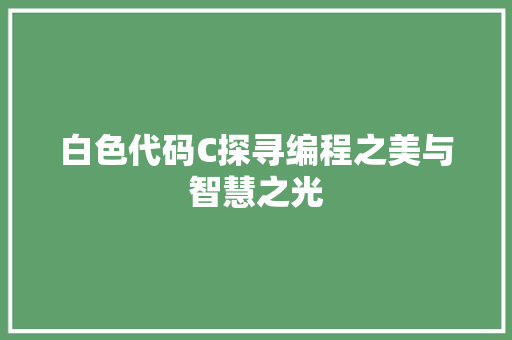 白色代码C探寻编程之美与智慧之光