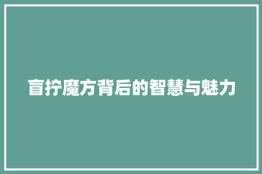 盲拧魔方背后的智慧与魅力